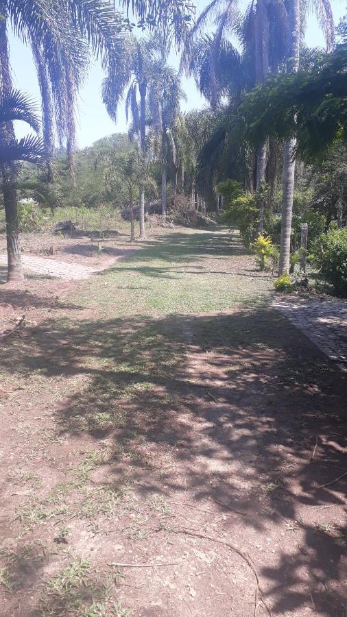 Jardim Palmeiras Albergue