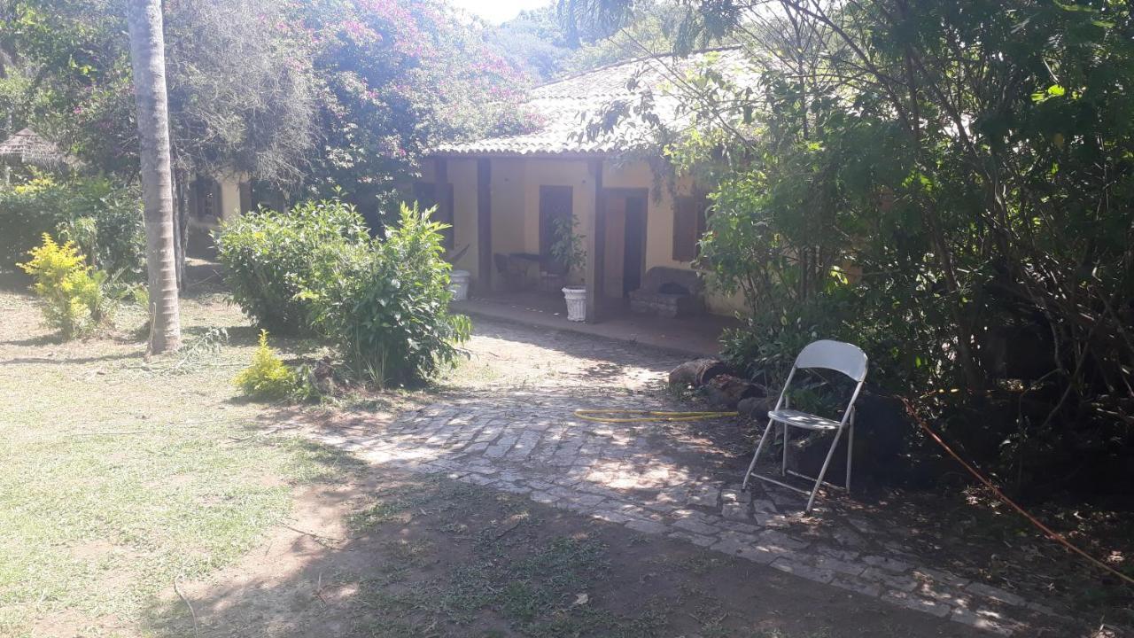 Jardim Palmeiras São Paulo